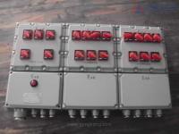 BXD51防爆动力配电箱 产品解析、厂家甄选与采购指南